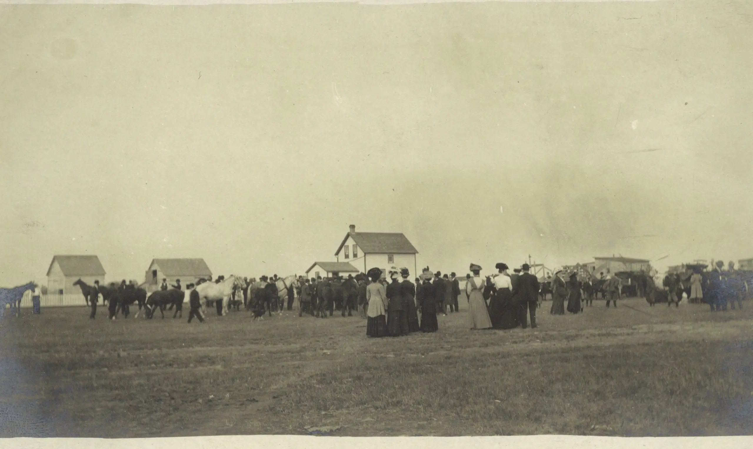 Crowd gathered in a field with horses