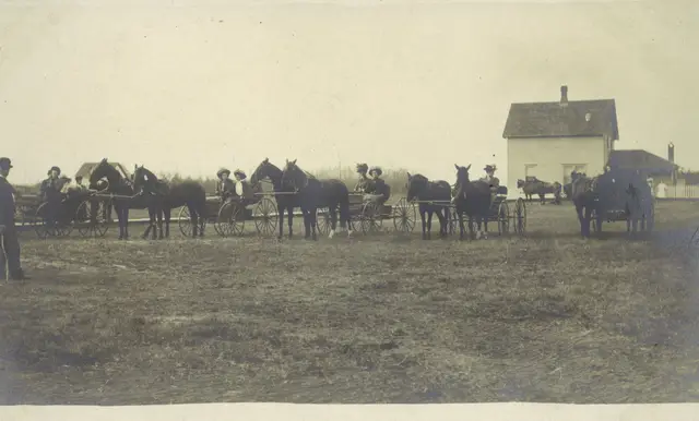 Horse and buggy race lineup